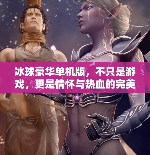 冰球豪华单机版，不只是游戏，更是情怀与热血的完美融合！突破冰球豪华单机版